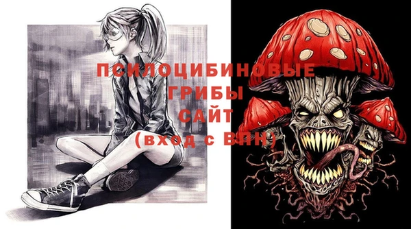 соль ск Абаза