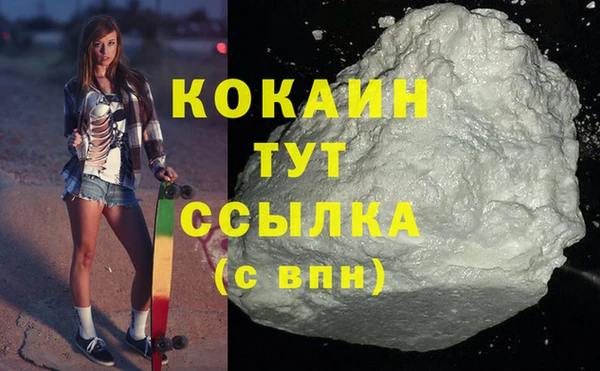 соль ск Абаза