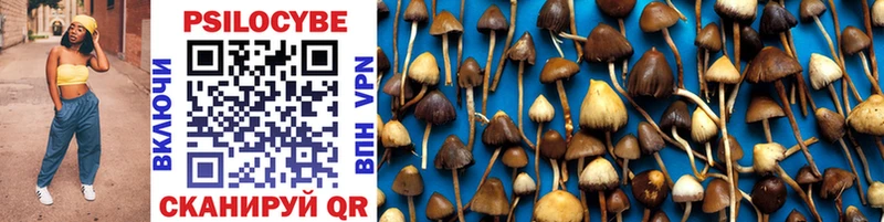 Галлюциногенные грибы Cubensis закладки Сусуман